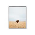 Picture of Field Guy _GroupedProduct_Rectangle_Portrait_Photography _GroupedProduct_Rectangle_Portrait_Canvas_Framed_
