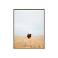 Picture of Field Guy _GroupedProduct_Rectangle_Portrait_Photography _GroupedProduct_Rectangle_Portrait_Canvas_Framed_