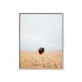 Picture of Field Guy _GroupedProduct_Rectangle_Portrait_Photography _GroupedProduct_Rectangle_Portrait_Canvas_Framed_