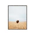 Picture of Field Guy _GroupedProduct_Rectangle_Portrait_Photography _GroupedProduct_Rectangle_Portrait_Canvas_Framed_