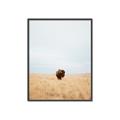 Picture of Field Guy _GroupedProduct_Rectangle_Portrait_Photography _GroupedProduct_Rectangle_Portrait_Canvas_Framed_