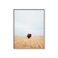 Picture of Field Guy _GroupedProduct_Rectangle_Portrait_Photography _GroupedProduct_Rectangle_Portrait_Canvas_Framed_