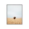 Picture of Field Guy _GroupedProduct_Rectangle_Portrait_Photography _GroupedProduct_Rectangle_Portrait_Canvas_Framed_