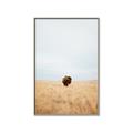 Picture of Field Guy _GroupedProduct_Rectangle_Portrait_Photography _GroupedProduct_Rectangle_Portrait_Canvas_Framed_