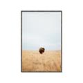 Picture of Field Guy _GroupedProduct_Rectangle_Portrait_Photography _GroupedProduct_Rectangle_Portrait_Canvas_Framed_