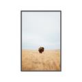 Picture of Field Guy _GroupedProduct_Rectangle_Portrait_Photography _GroupedProduct_Rectangle_Portrait_Canvas_Framed_