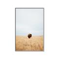Picture of Field Guy _GroupedProduct_Rectangle_Portrait_Photography _GroupedProduct_Rectangle_Portrait_Canvas_Framed_