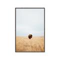 Picture of Field Guy _GroupedProduct_Rectangle_Portrait_Photography _GroupedProduct_Rectangle_Portrait_Canvas_Framed_
