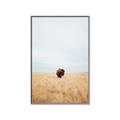 Picture of Field Guy _GroupedProduct_Rectangle_Portrait_Photography _GroupedProduct_Rectangle_Portrait_Canvas_Framed_