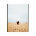 Picture of Field Guy _GroupedProduct_Rectangle_Portrait_Photography _GroupedProduct_Rectangle_Portrait_Canvas_Framed_