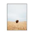Picture of Field Guy _GroupedProduct_Rectangle_Portrait_Photography _GroupedProduct_Rectangle_Portrait_Canvas_Framed_