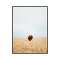 Picture of Field Guy _GroupedProduct_Rectangle_Portrait_Photography _GroupedProduct_Rectangle_Portrait_Canvas_Framed_