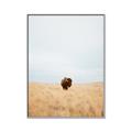 Picture of Field Guy _GroupedProduct_Rectangle_Portrait_Photography _GroupedProduct_Rectangle_Portrait_Canvas_Framed_