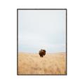 Picture of Field Guy _GroupedProduct_Rectangle_Portrait_Photography _GroupedProduct_Rectangle_Portrait_Canvas_Framed_