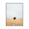 Picture of Field Guy _GroupedProduct_Rectangle_Portrait_Photography _GroupedProduct_Rectangle_Portrait_Canvas_Framed_