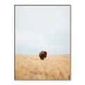 Picture of Field Guy _GroupedProduct_Rectangle_Portrait_Photography _GroupedProduct_Rectangle_Portrait_Canvas_Framed_