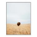 Picture of Field Guy _GroupedProduct_Rectangle_Portrait_Photography _GroupedProduct_Rectangle_Portrait_Canvas_Framed_