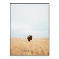 Picture of Field Guy _GroupedProduct_Rectangle_Portrait_Photography _GroupedProduct_Rectangle_Portrait_Canvas_Framed_