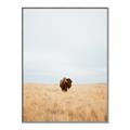 Picture of Field Guy _GroupedProduct_Rectangle_Portrait_Photography _GroupedProduct_Rectangle_Portrait_Canvas_Framed_