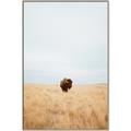 Picture of Field Guy _GroupedProduct_Rectangle_Portrait_Photography _GroupedProduct_Rectangle_Portrait_Canvas_Framed_