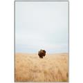Picture of Field Guy _GroupedProduct_Rectangle_Portrait_Photography _GroupedProduct_Rectangle_Portrait_Canvas_Framed_