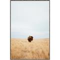 Picture of Field Guy _GroupedProduct_Rectangle_Portrait_Photography _GroupedProduct_Rectangle_Portrait_Canvas_Framed_