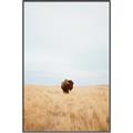 Picture of Field Guy _GroupedProduct_Rectangle_Portrait_Photography _GroupedProduct_Rectangle_Portrait_Canvas_Framed_