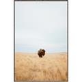 Picture of Field Guy _GroupedProduct_Rectangle_Portrait_Photography _GroupedProduct_Rectangle_Portrait_Canvas_Framed_