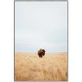 Picture of Field Guy _GroupedProduct_Rectangle_Portrait_Photography _GroupedProduct_Rectangle_Portrait_Canvas_Framed_