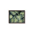 Picture of Chinese Evergreen  _GroupedProduct_Rectangle_Landscape_Photography _GroupedProduct_Rectangle_Landscape_Canvas_Framed_
