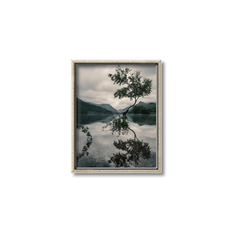 Picture of Tree Reflection _GroupedProduct_Rectangle_Portrait_Photography _GroupedProduct_Rectangle_Portrait_Canvas_Framed_