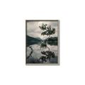 Picture of Tree Reflection _GroupedProduct_Rectangle_Portrait_Photography _GroupedProduct_Rectangle_Portrait_Canvas_Framed_