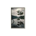 Picture of Tree Reflection _GroupedProduct_Rectangle_Portrait_Photography _GroupedProduct_Rectangle_Portrait_Canvas_Framed_