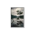 Picture of Tree Reflection _GroupedProduct_Rectangle_Portrait_Photography _GroupedProduct_Rectangle_Portrait_Canvas_Framed_