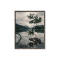 Picture of Tree Reflection _GroupedProduct_Rectangle_Portrait_Photography _GroupedProduct_Rectangle_Portrait_Canvas_Framed_