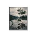 Picture of Tree Reflection _GroupedProduct_Rectangle_Portrait_Photography _GroupedProduct_Rectangle_Portrait_Canvas_Framed_