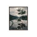 Picture of Tree Reflection _GroupedProduct_Rectangle_Portrait_Photography _GroupedProduct_Rectangle_Portrait_Canvas_Framed_