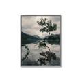 Picture of Tree Reflection _GroupedProduct_Rectangle_Portrait_Photography _GroupedProduct_Rectangle_Portrait_Canvas_Framed_