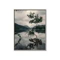 Picture of Tree Reflection _GroupedProduct_Rectangle_Portrait_Photography _GroupedProduct_Rectangle_Portrait_Canvas_Framed_