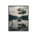 Picture of Tree Reflection _GroupedProduct_Rectangle_Portrait_Photography _GroupedProduct_Rectangle_Portrait_Canvas_Framed_