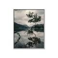 Picture of Tree Reflection _GroupedProduct_Rectangle_Portrait_Photography _GroupedProduct_Rectangle_Portrait_Canvas_Framed_