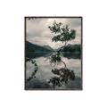 Picture of Tree Reflection _GroupedProduct_Rectangle_Portrait_Photography _GroupedProduct_Rectangle_Portrait_Canvas_Framed_