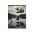 Picture of Tree Reflection _GroupedProduct_Rectangle_Portrait_Photography _GroupedProduct_Rectangle_Portrait_Canvas_Framed_