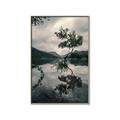 Picture of Tree Reflection _GroupedProduct_Rectangle_Portrait_Photography _GroupedProduct_Rectangle_Portrait_Canvas_Framed_