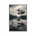 Picture of Tree Reflection _GroupedProduct_Rectangle_Portrait_Photography _GroupedProduct_Rectangle_Portrait_Canvas_Framed_