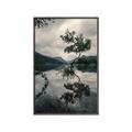 Picture of Tree Reflection _GroupedProduct_Rectangle_Portrait_Photography _GroupedProduct_Rectangle_Portrait_Canvas_Framed_
