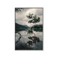 Picture of Tree Reflection _GroupedProduct_Rectangle_Portrait_Photography _GroupedProduct_Rectangle_Portrait_Canvas_Framed_