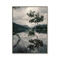 Picture of Tree Reflection _GroupedProduct_Rectangle_Portrait_Photography _GroupedProduct_Rectangle_Portrait_Canvas_Framed_