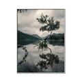 Picture of Tree Reflection _GroupedProduct_Rectangle_Portrait_Photography _GroupedProduct_Rectangle_Portrait_Canvas_Framed_