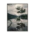 Picture of Tree Reflection _GroupedProduct_Rectangle_Portrait_Photography _GroupedProduct_Rectangle_Portrait_Canvas_Framed_